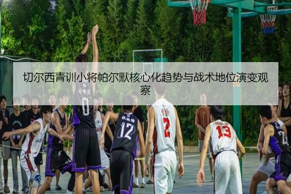 切尔西青训小将帕尔默核心化趋势与战术地位演变观察 - kaiyun